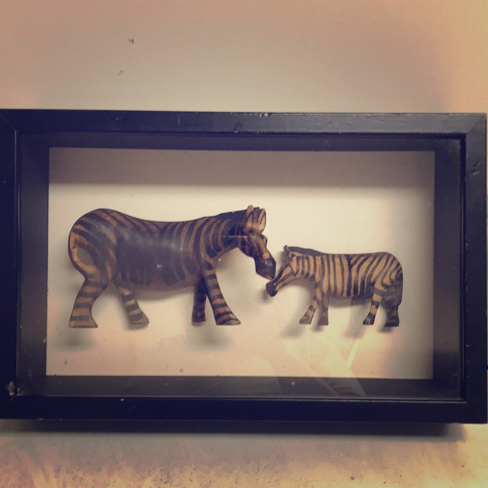 Unique Zebra Shadow Box